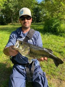 Smallmouth Bass