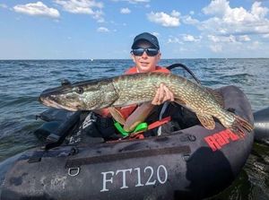 Northern Pike