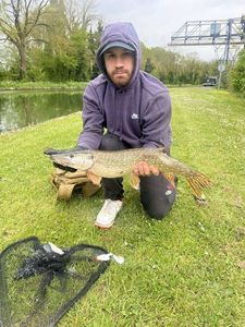 Northern Pike