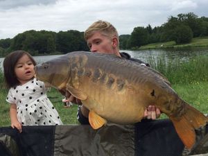 Mirror Carp