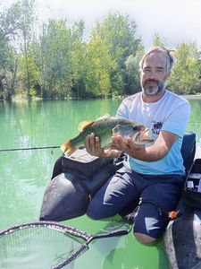 Largemouth Bass
