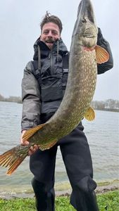 Northern Pike