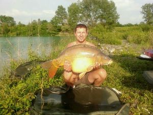 Mirror Carp
