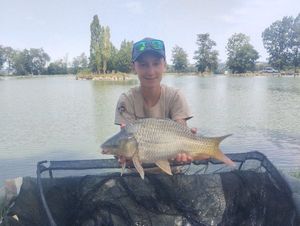 Common Carp