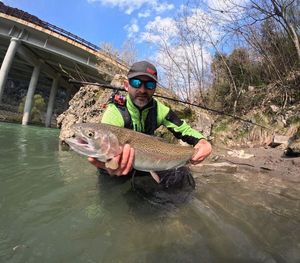 Rainbow Trout