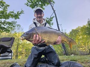 Mirror Carp