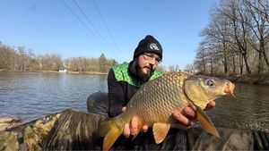 Common Carp