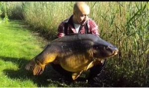 Leather Carp