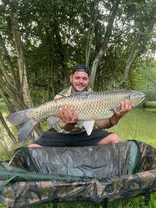 Grass Carp