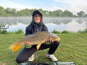 Common Carp