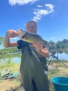 Largemouth Bass