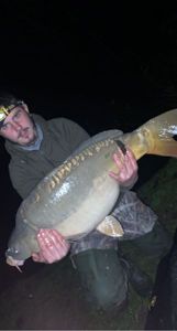 Mirror Carp