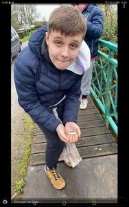 Roach