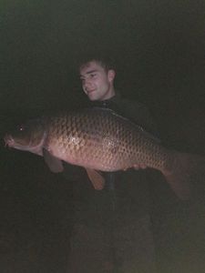 Common Carp