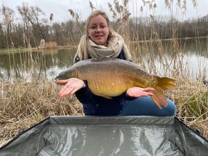 Mirror Carp
