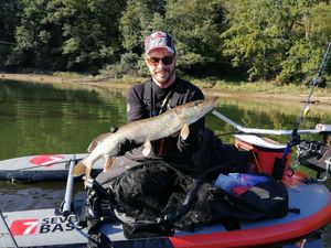 Chain Pickerel