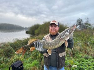 Northern Pike