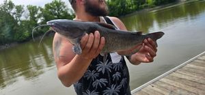 Channel Catfish