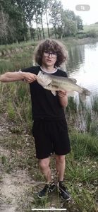 Largemouth Bass