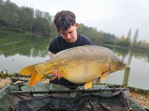 Mirror Carp