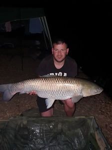 Grass Carp