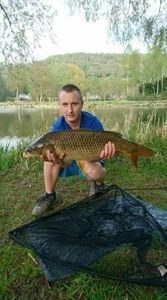 Common Carp