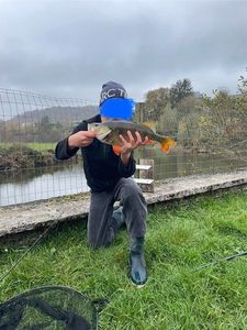 European Perch