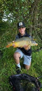 Mirror Carp