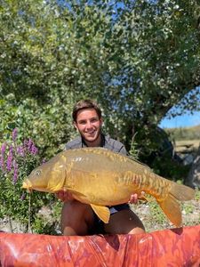 Mirror Carp