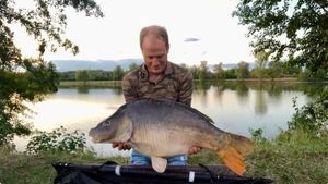 Mirror Carp