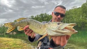 Northern Pike