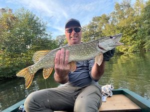 Northern Pike