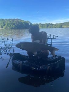 Grass Carp