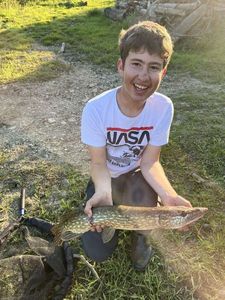Northern Pike
