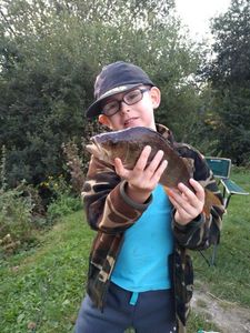European Perch