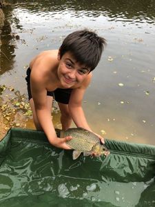 Crucian Carp