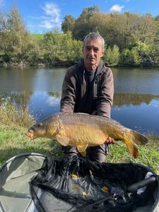 Mirror Carp