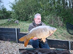 Common Carp