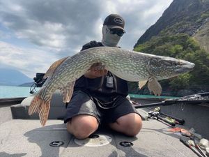 Northern Pike