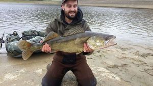 Zander