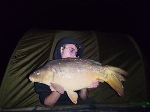 Mirror Carp