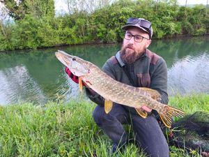 Northern Pike