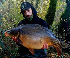 Mirror Carp