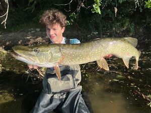 Northern Pike