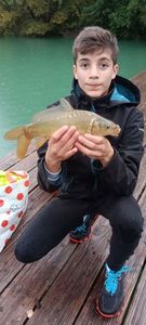 Mirror Carp