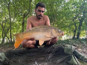 Mirror Carp