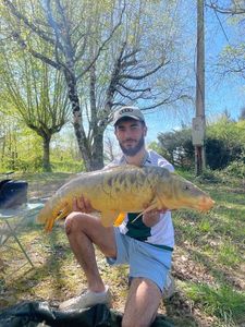 Mirror Carp