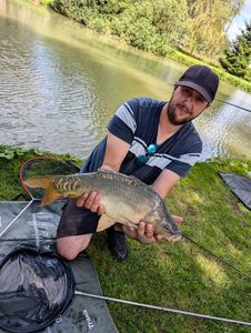Mirror Carp