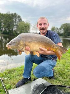 Mirror Carp