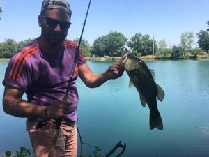 Largemouth Bass